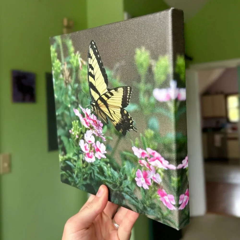 Charming Colorful Butterfly On Flower Canvas Wrapped Wall Sign Nature Decor